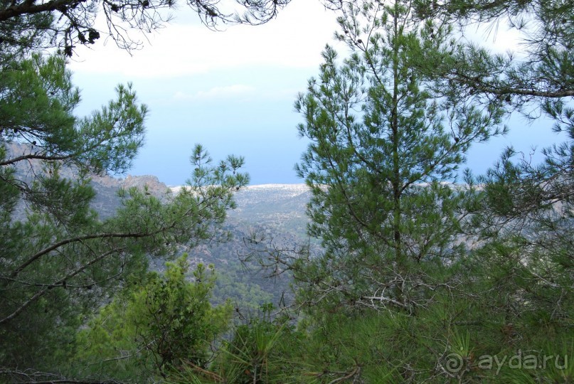 Турецкая Республика Северный Кипр (ТРСК)