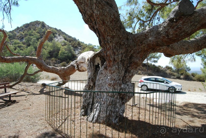 Турецкая Республика Северный Кипр (ТРСК)