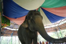 Социалистический Вьетнам (Нячанг)