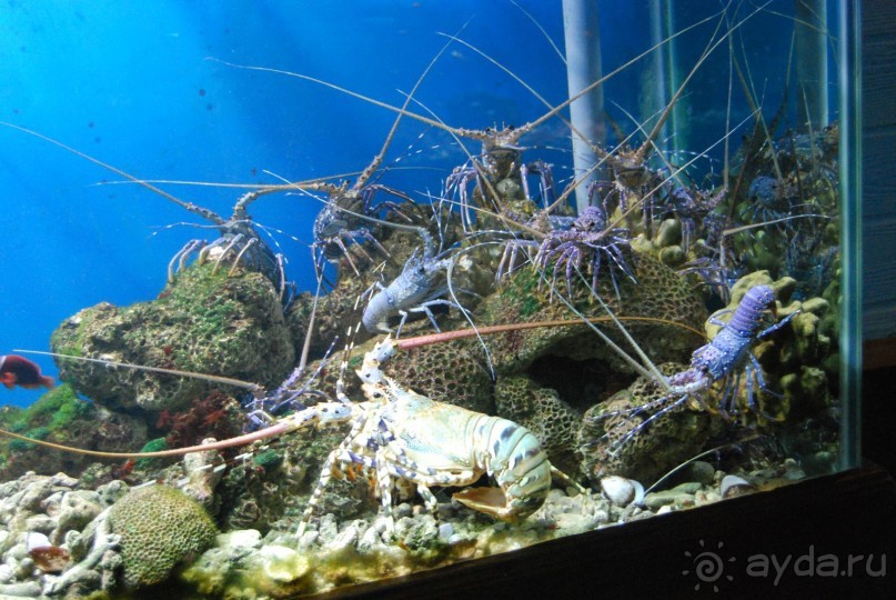 Социалистический Вьетнам (Нячанг)