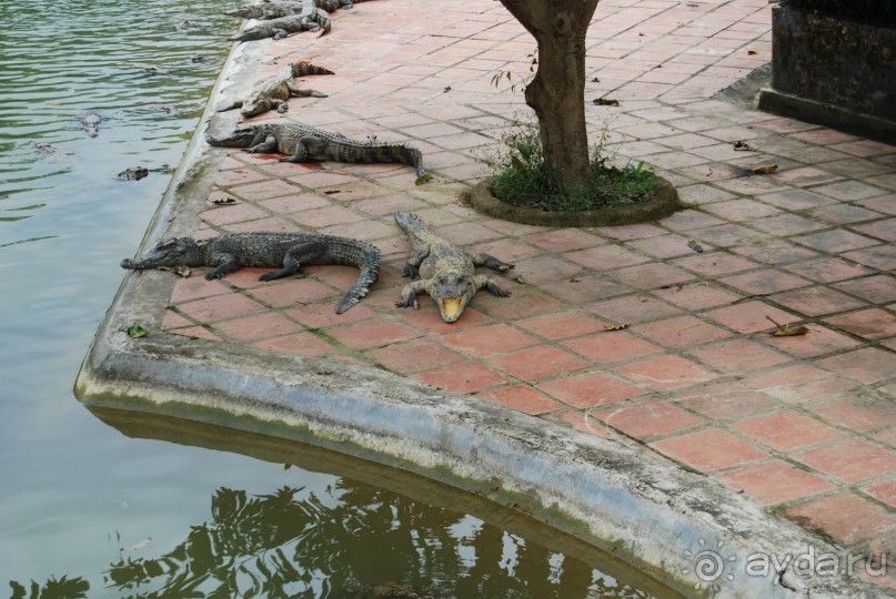 Социалистический Вьетнам (Нячанг)