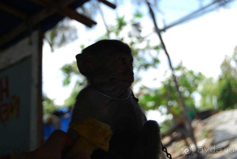 Социалистический Вьетнам (Нячанг)