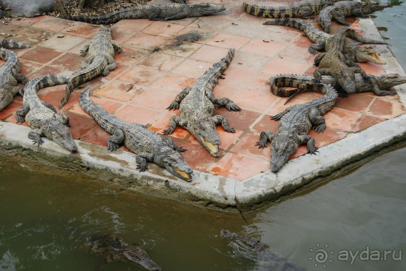 Социалистический Вьетнам (Нячанг)