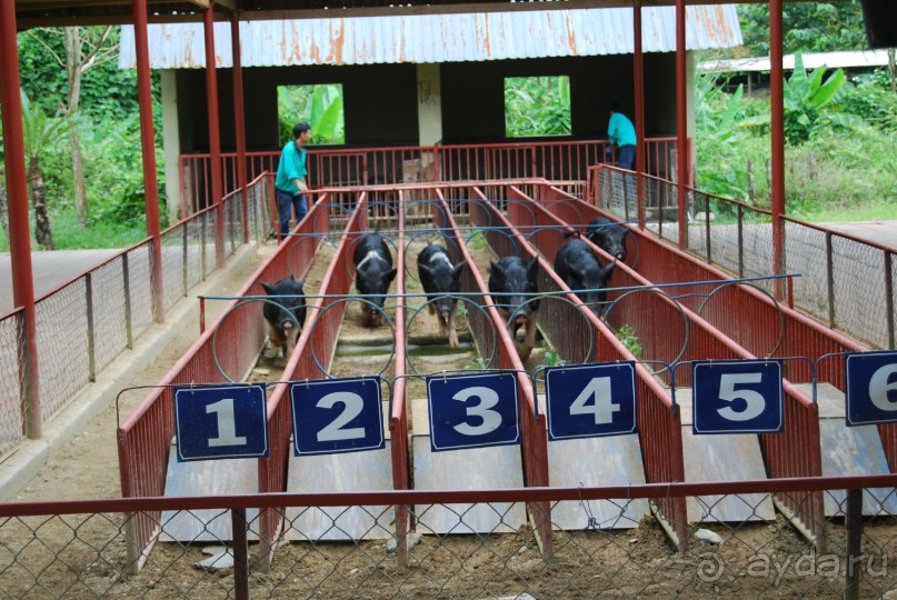 Социалистический Вьетнам (Нячанг)