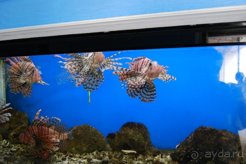 Социалистический Вьетнам (Нячанг)