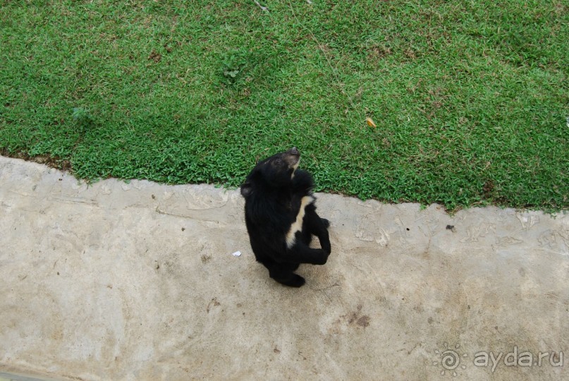 Социалистический Вьетнам (Нячанг)