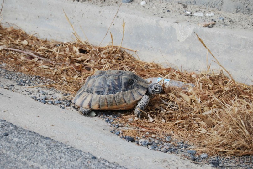 Крит в сентябре