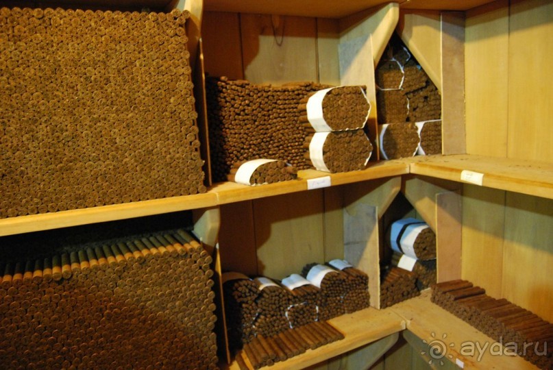 Доминикана - отдых без напрягов