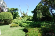 Доминикана - отдых без напрягов