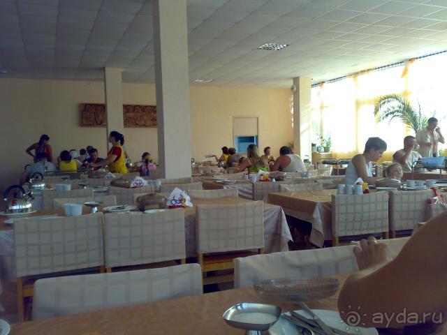 УЖАС, ДЕРЬМО (ДЛЯ ОРИГИНАЛЬНОСТИ), ХАМСТВО