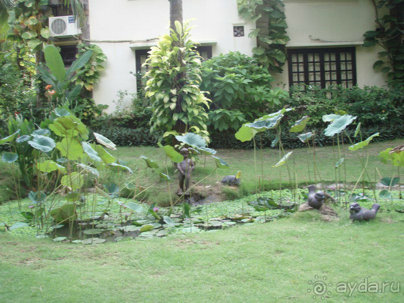 Альбом отзыва "Вьетнам Муйне"