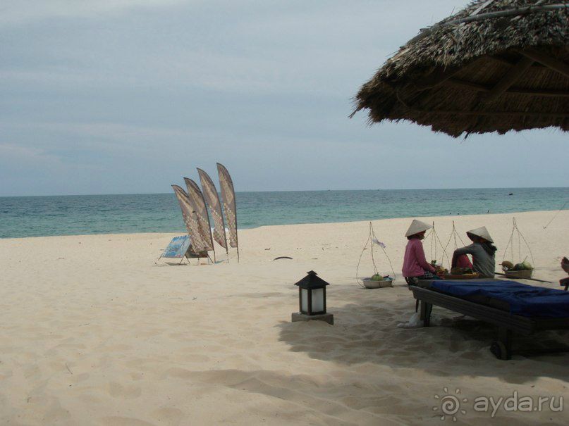 Альбом отзыва "Вьетнам Муйне"