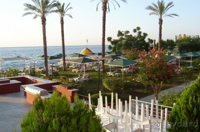 лужайка с лежаками