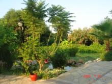  Серенький отель в красивой упаковке.