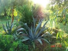  Серенький отель в красивой упаковке.