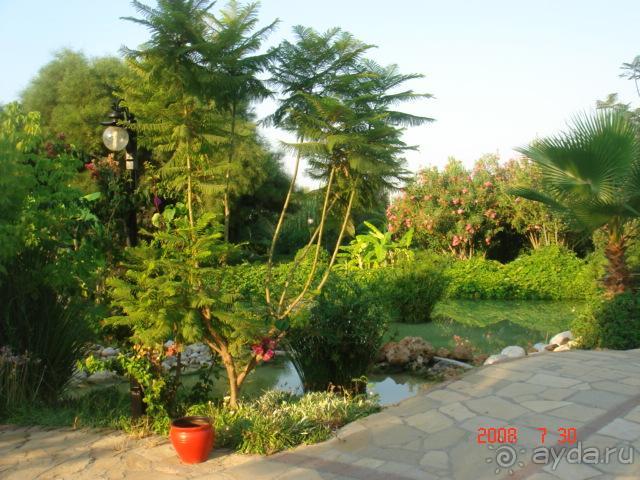  Серенький отель в красивой упаковке.