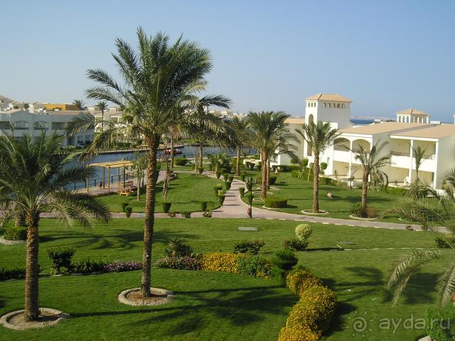 фото Pickalbatros Dana Beach Resort