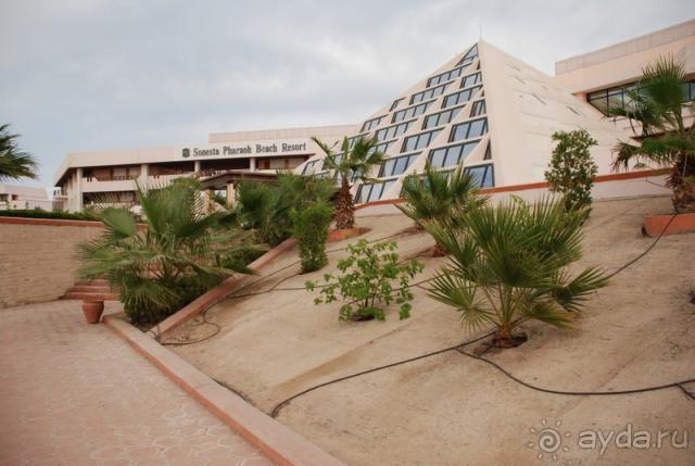 фото Pharaoh Azur Resort 