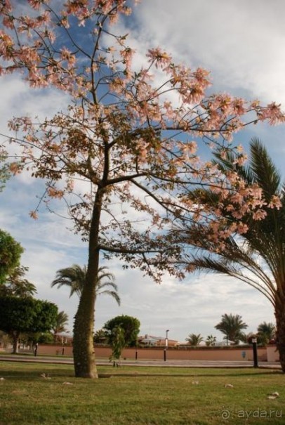 фото Maritim Hotel Munchen
