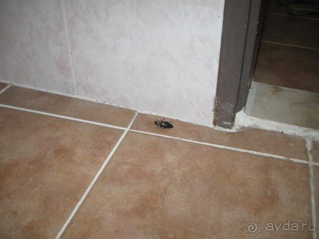 такое тоже бывало...