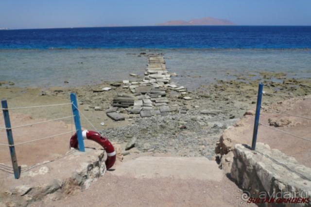 Ужасно плохо.Сплошное надувательство.