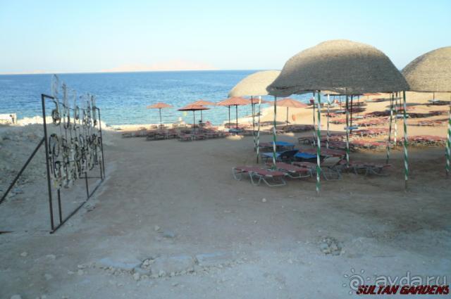 Ужасно плохо.Сплошное надувательство.