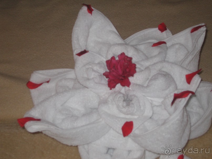 фото Cyrene Island Hotel