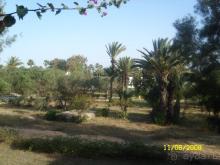 Caribbian World Skanes