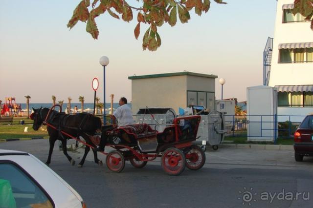 Уютный, мини- отель на тенистой, зеленой улочке.