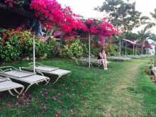 Райский уголок в окружении мира корысти