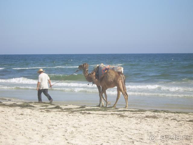 вот такой пляж у отеля