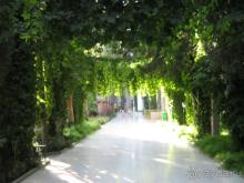 Можно поставить оценку 4+