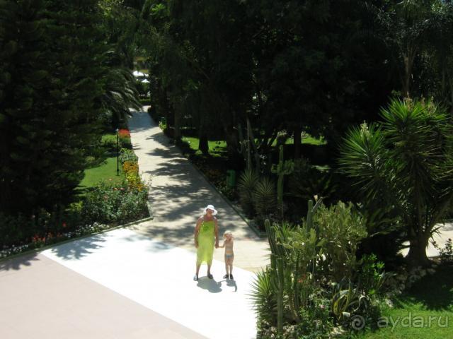 Можно поставить оценку 4+