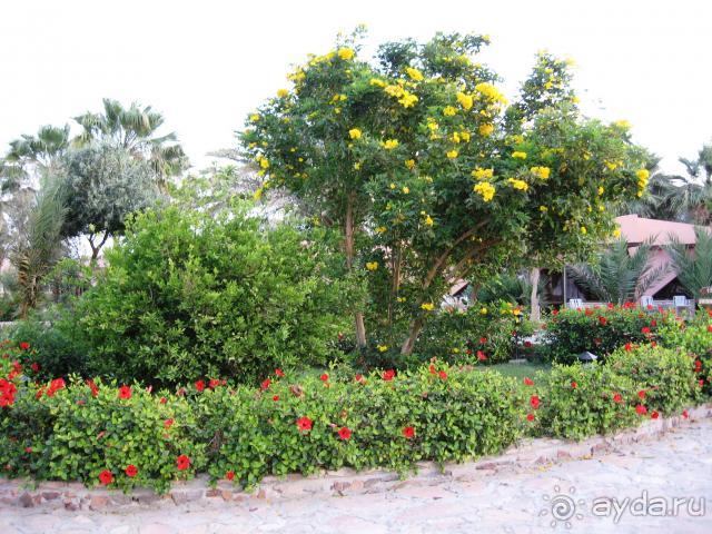 Отдых удался!