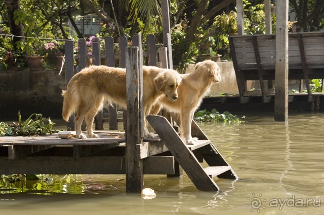фото Baiyoke Sky