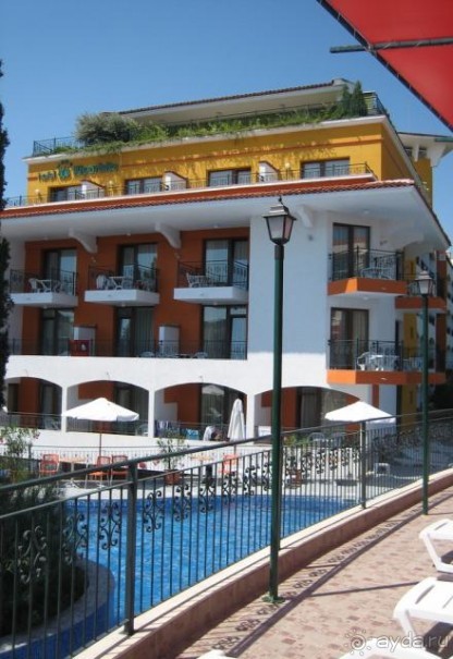 фото Кипарисите