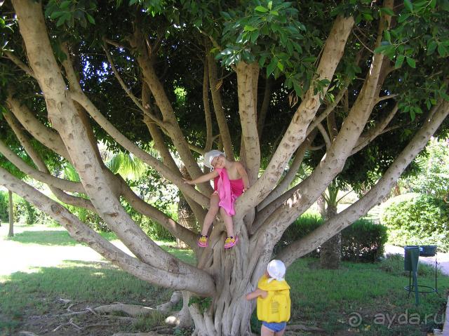 Супер отель