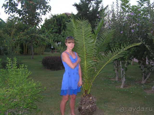 Добавлены фотки