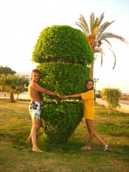 Royal Paradise давай давай