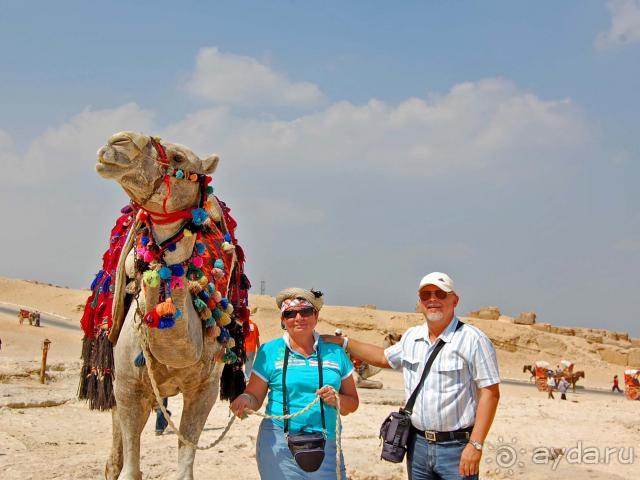 фото Hilton Hurghada Plaza