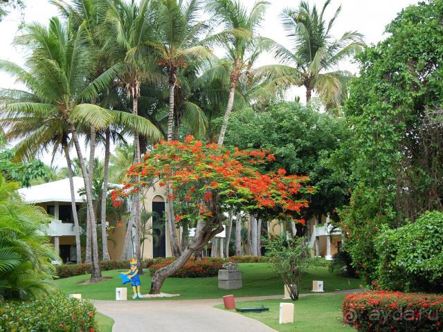 фото Bavaro Princess