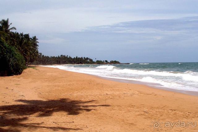 фото Induruwa Beach Resort