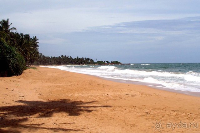 фото Induruwa Beach Resort