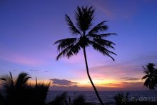 фото Induruwa Beach Resort