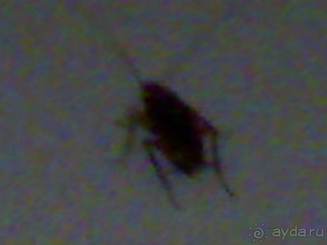 Никогда  не ездите!+только в том, что море рядом!