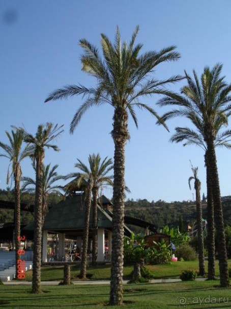 Прекрасный отдых - замечательный отель