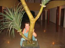 если вы не превередливы, вам нужен, он - Fame.