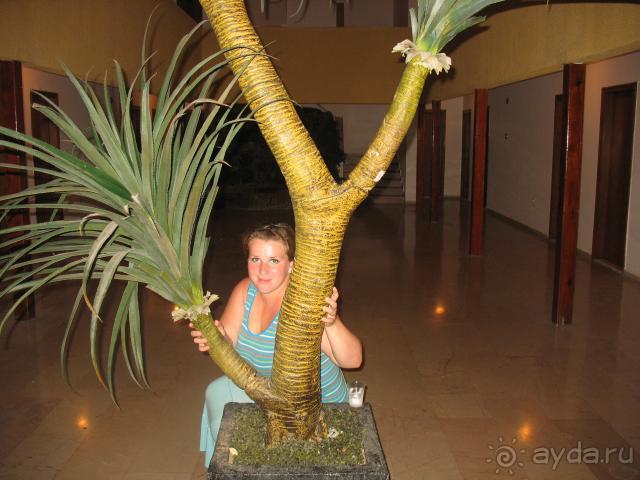 если вы не превередливы, вам нужен, он - Fame.