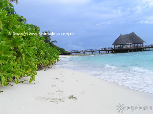 фото Bandos Maldives