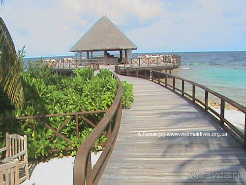 фото Bandos Maldives